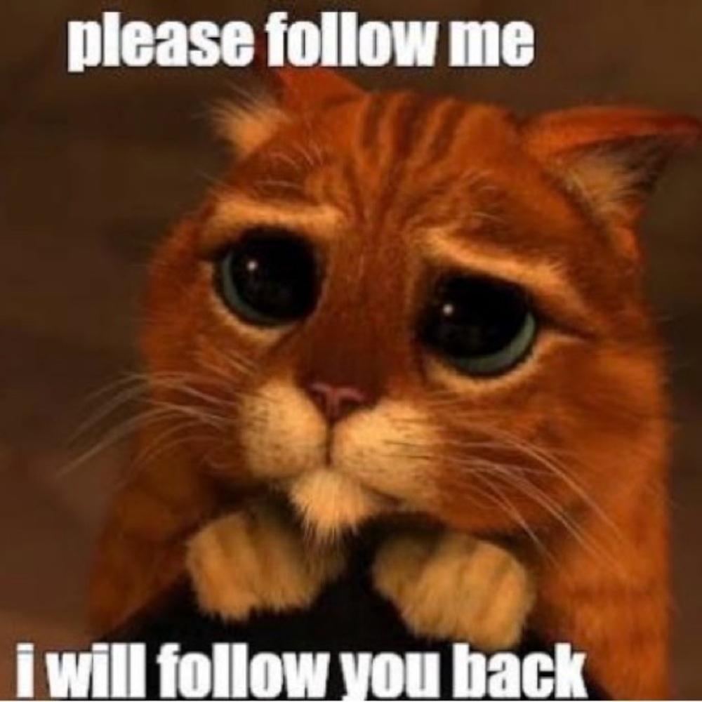 FOLLOW GAME